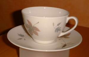 Royal Doulton Tumbling Leaves Tea Cup and Saucer